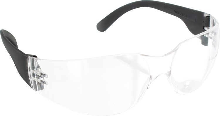 Allzweckbrille BG53