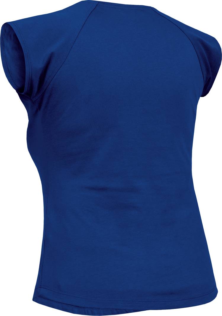 Leibwaechter Damen T Shirt kornblau Rueckseite