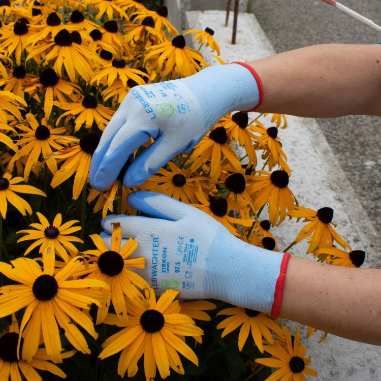 Leibwaechter Handschuh Zirkon hellblau Produktfoto 2