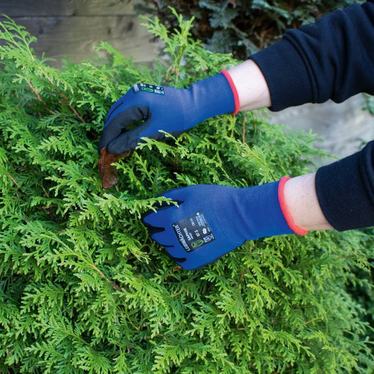 Leibwaechter Handschuh Saphir blau Produktfoto 3